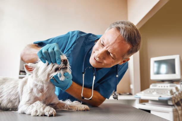 Best Emergency Root Canal Treatment in Edgewood, FL